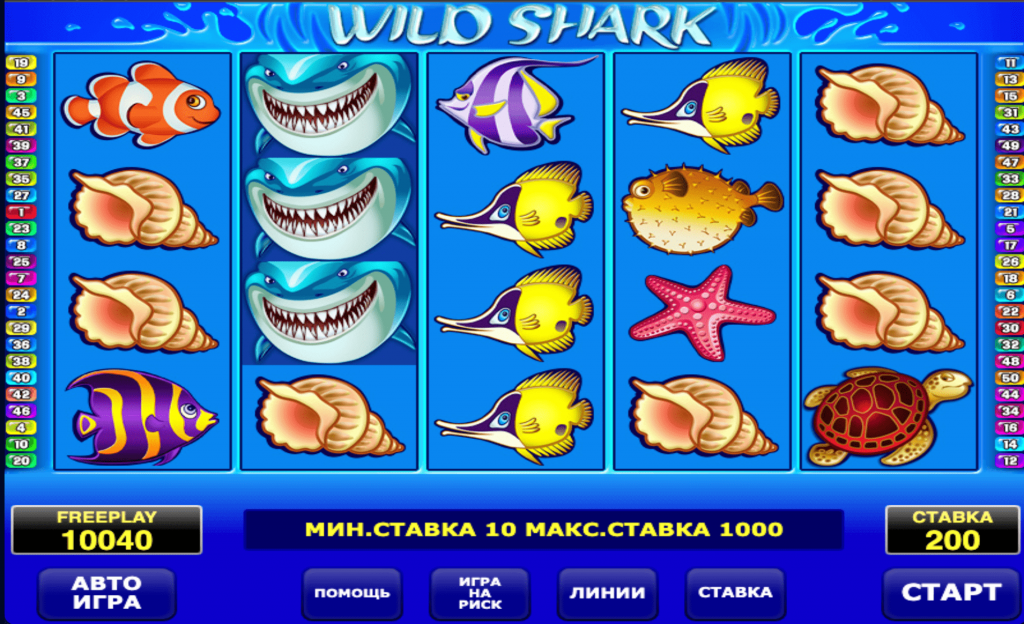 Сюжет Wild Shark